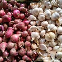 Paket Bawang Merah Super & Bawang Putih Kating 1kg - 500gr K