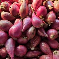 Bawang Merah Brebes  kering dan bersih  ukuran sedang campur