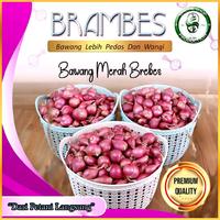 BAWANG MERAH BREBES TERMURAH LANGSUNG DARI PETANI