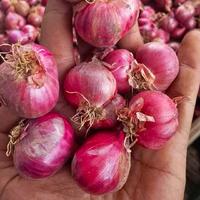 bawang merah nganjuk bawang tanggung r 1kg