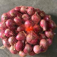 bawang merah temanggung kwalitas super 1 kg