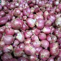 1kg BAWANG MERAH ASLI PROBOLINGGO