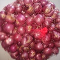 bawang merah brebes super besar
