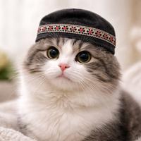 Peci Kucing Lucu Motif Bunga– Aksesoris Foto & Outfit Anabul Topi Kucing Topi peci Anabul