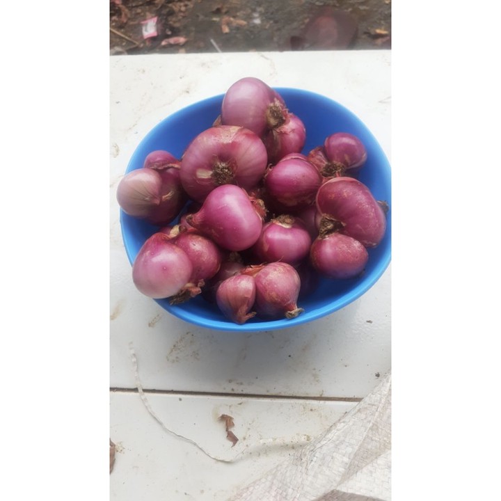 Bawang merah kupas bersih kemasan 1kg