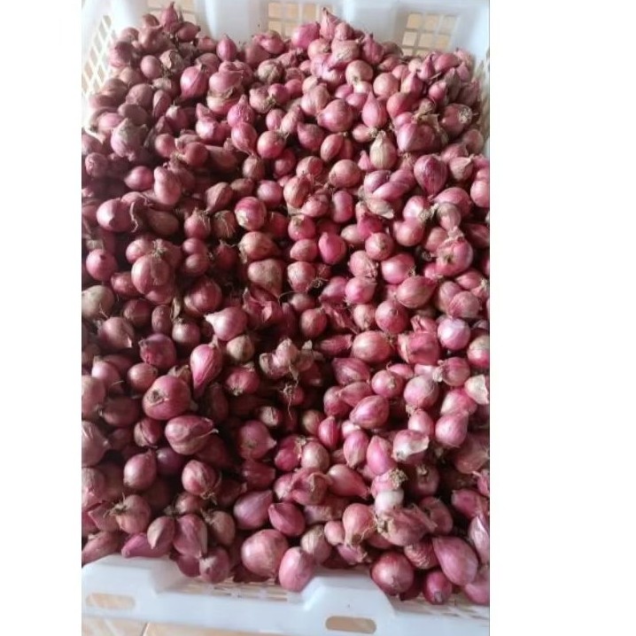 Bawang Merah Lokal Nganjuk 200 gram - Bersih, Kering, Berkualitas