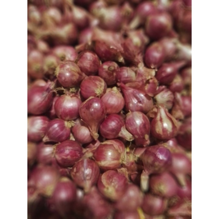 bawang merah lokal nganjuk (gerusan) 1kg kwalitas kering