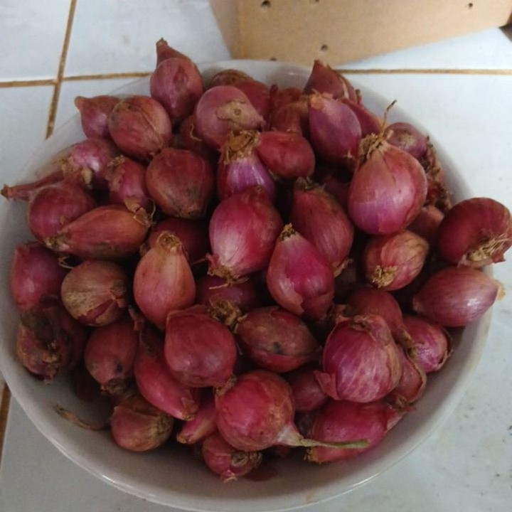 Bawang merah  kecil minii  ares 1kg bersih kering