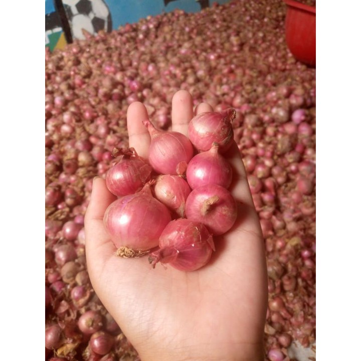 Bawang Merah Jumbo 1kg Berkualitas Tinggi
