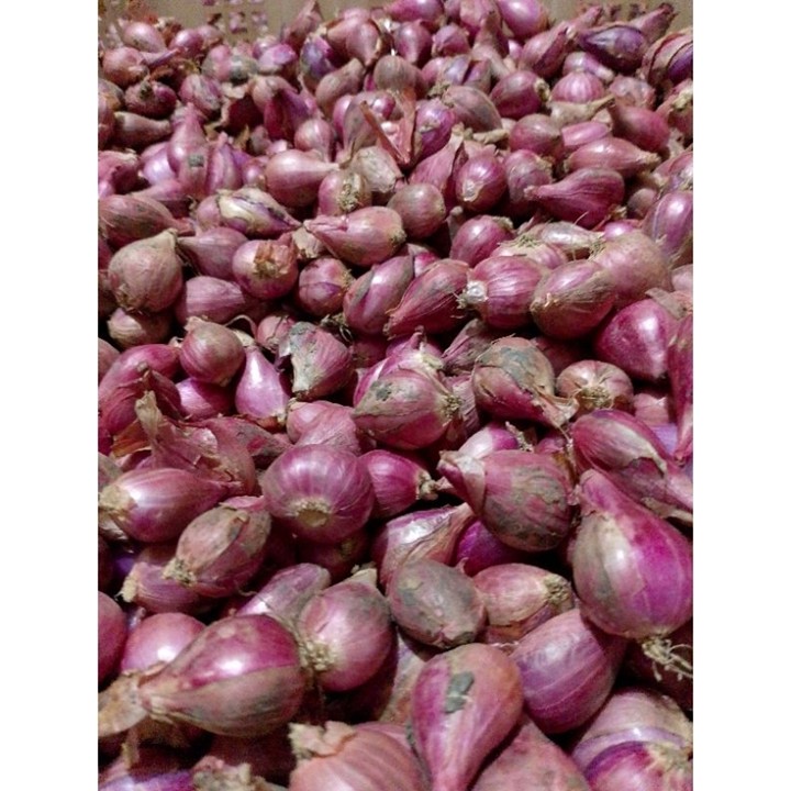 Bawang Merah Berebes Asli Kering Full Besar 1kg