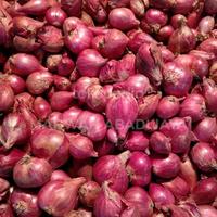 bawang merah 1 kg