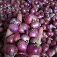 bawang _merah_segar_super