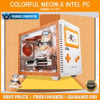 COLORFUL MEOW-X Gaming PC Set | INTEL PC B760 WIFI D5 RTX 5060 8GB CASE + 3 Fan 