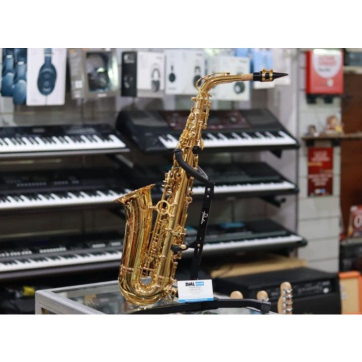 Dluxe Alto Saxophone Gold With Case Fullset - Saxophone Alto