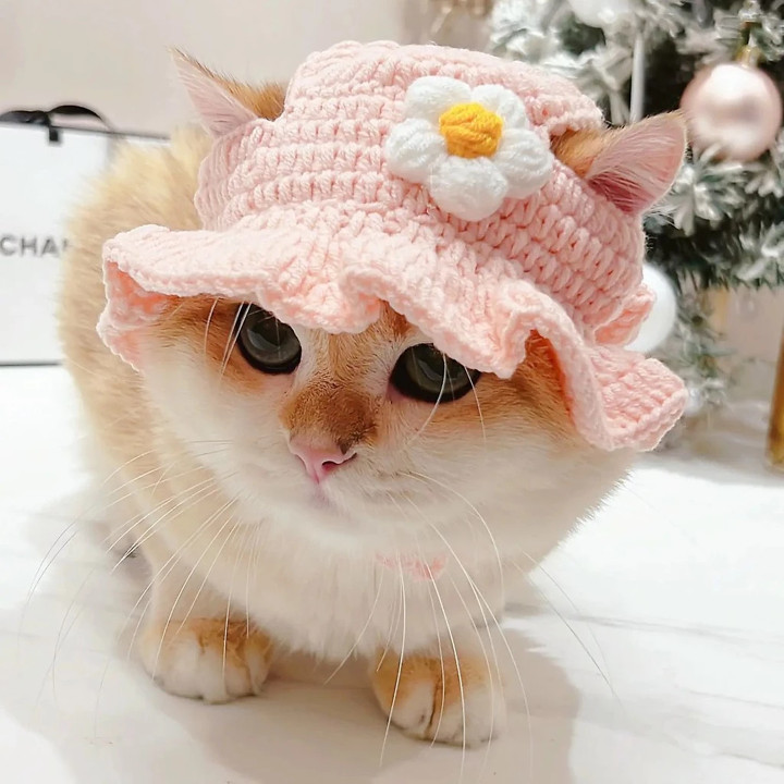 Topi Kucing Rajut Dewasa Kitten Kelinci Bucket Hat Karakter 