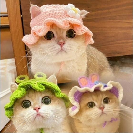 READY STOCK Topi Kucing Rajut Topi Hewan Topi Kelinci Rajut 