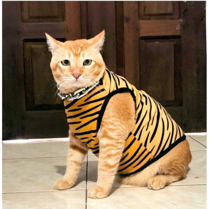 BAJU . KAOS  KUCING. ANJING MOTIF ANIMAL