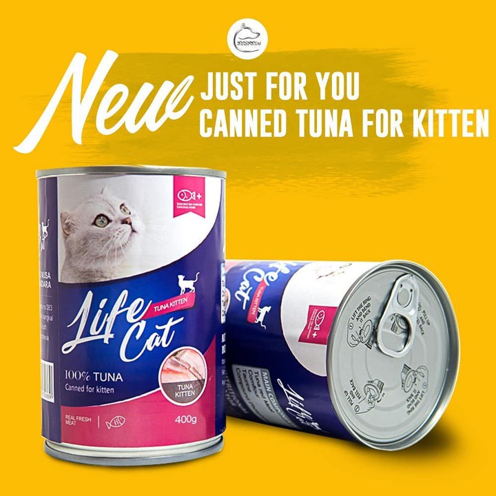 makanan kucing basah LIFE CAT kitten adult KALENG 400GRAM we