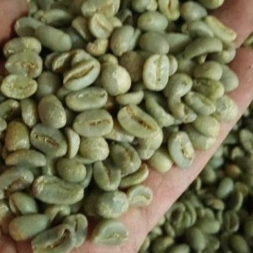 grean bean arabika gayo full wash 1 kg