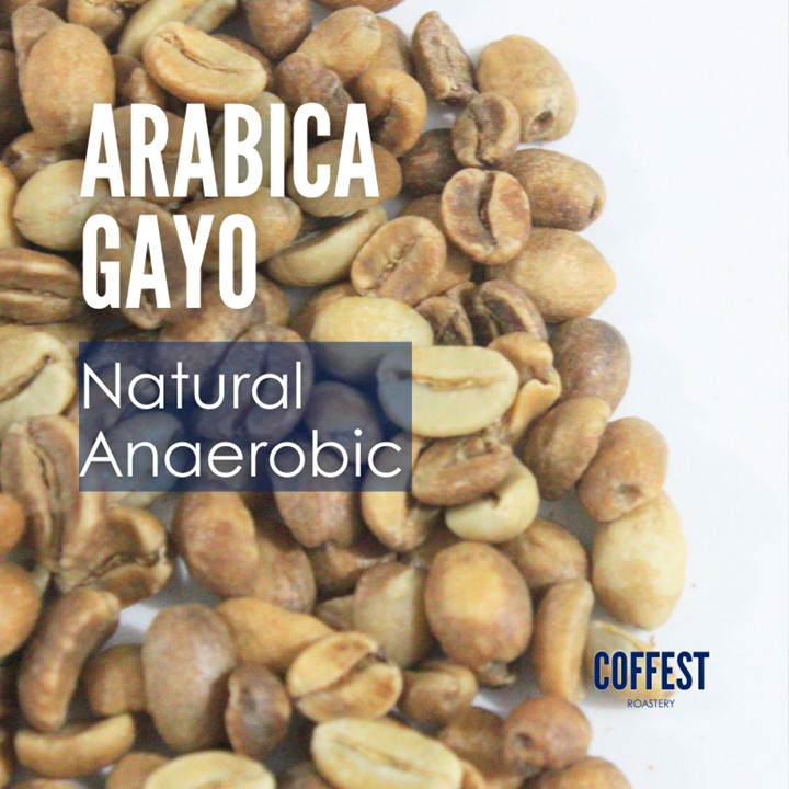 Green Bean Specialty Arabika Gayo - Natural Anaerobic Proces