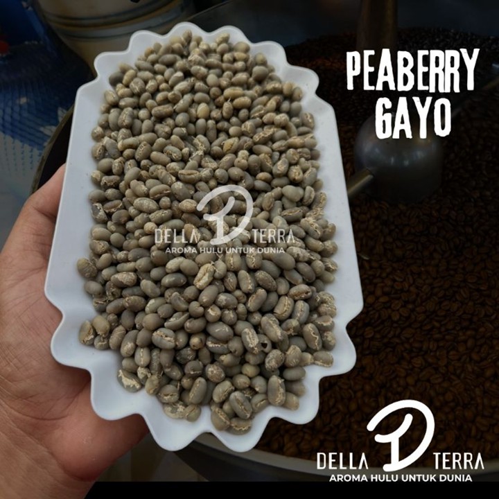 GREEN BEAN ARABIKA GAYO PROCESS PEABERRY / LANANG GRADE 1 - 