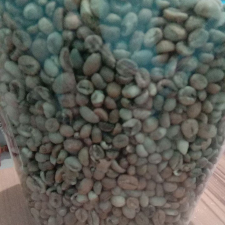 Green Beans Robusta Sumatra grade 1
