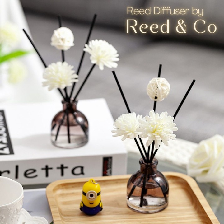 Black Series Reed Diffuser Aesthetic Pengharum Ruangan Aroma