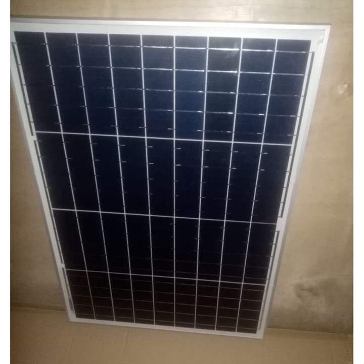 PROMO Solar Panel 50WP Surya Poly 50 WP