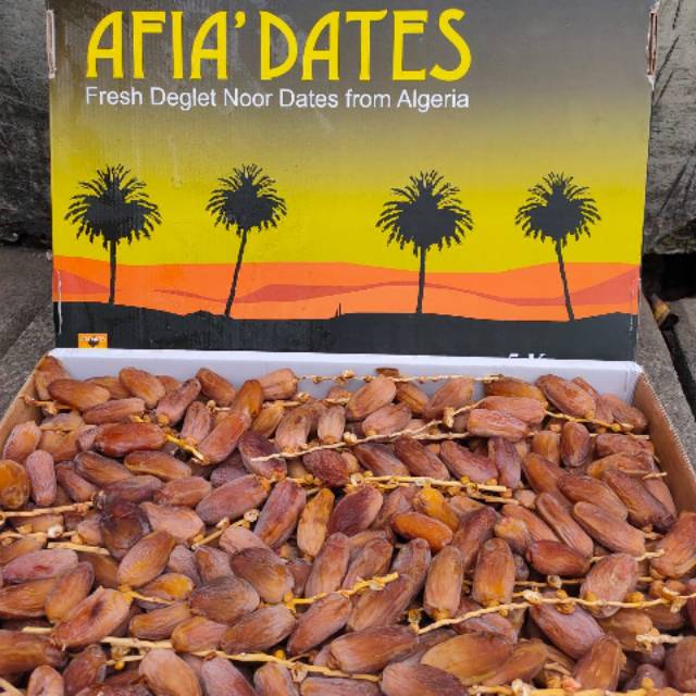 KURMA TANGKAI TUNISHIA- KURMA AFIA DATES- ENAK---ORIGINAL