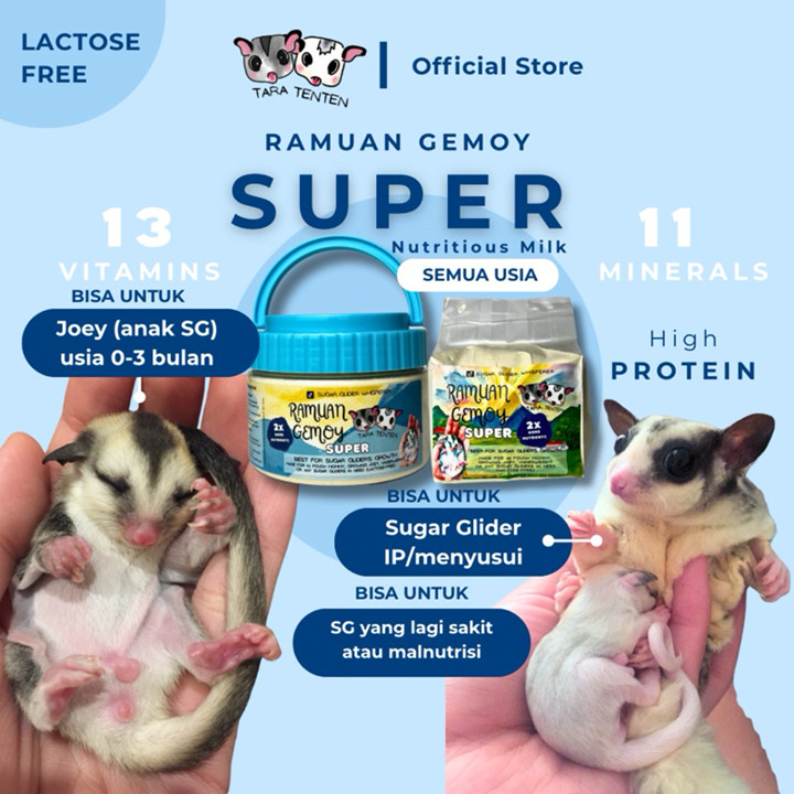 RAMUAN GEMOY TARA TENTEN SUPER Makanan Khusus Sugar Glider J