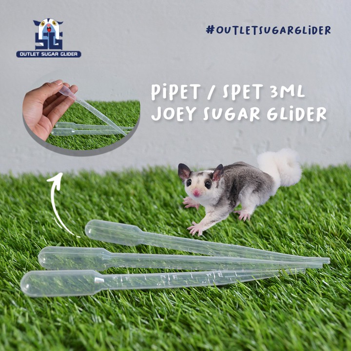 PIPET / SPET 3ml JOEY SUGAR GLIDER / ALAT BANTU FEEDING LOLO