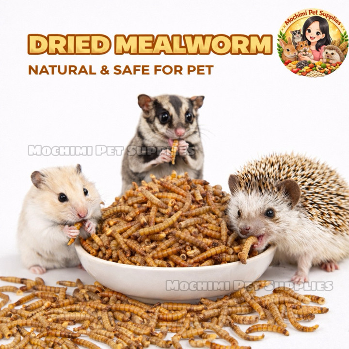 Premium Dried Mealworm | Snack Ulat Hongkong Kering Hamster 