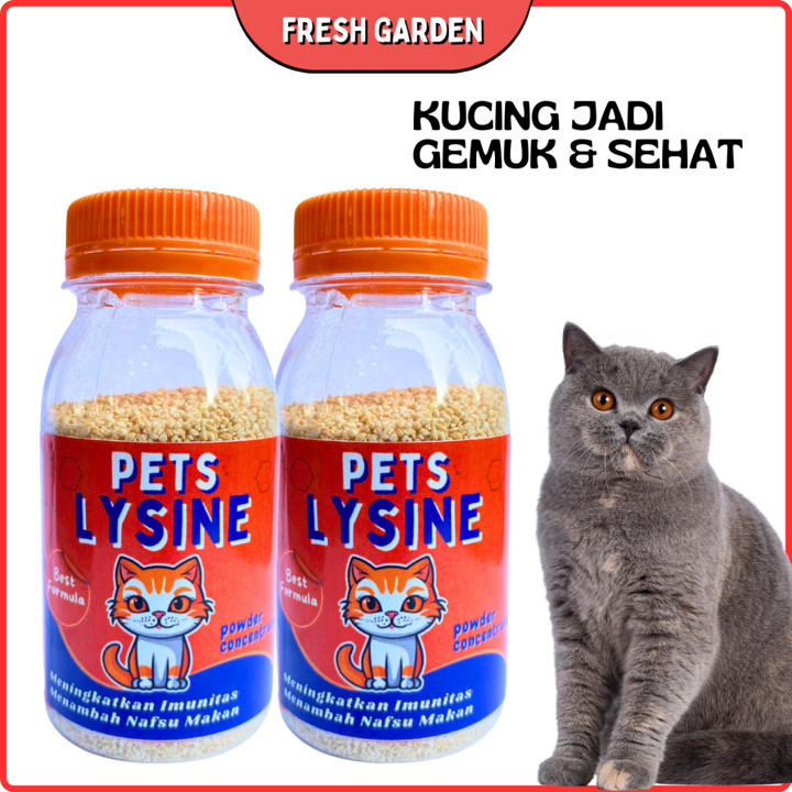 Vitamin Penggemuk dan Penumbuh Bulu Plus Nafsu Makan Daya Ta