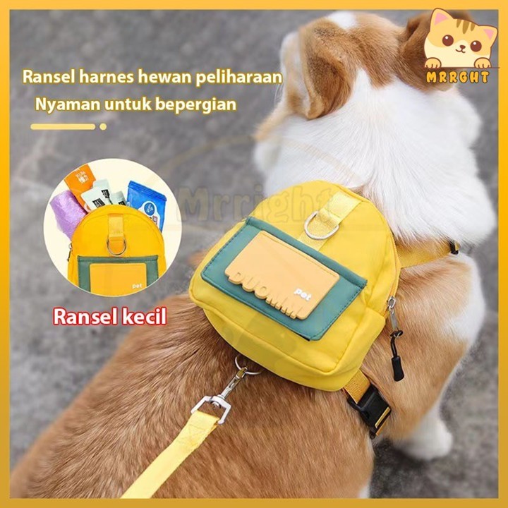 Tas Harness Anjing dan Kucing 2in1 (Harness + Bag) Cat Pet H