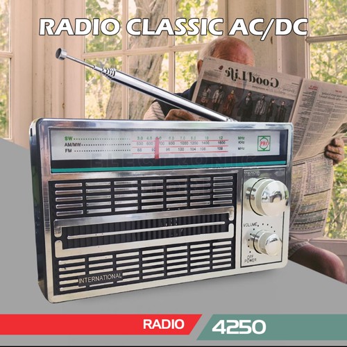 Radio AC / DC 4250 dan RD-306 portable international 2 band 