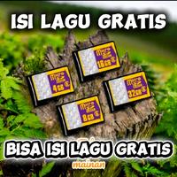 Micro SD Card 4GB 8GB 16GB 32GB isi lagu gratis bisa request