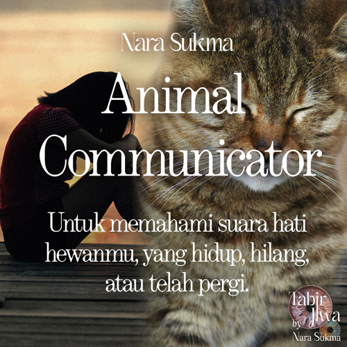 Animal Communicator : Layanan Komunikasi Untuk Mengetahui Perasaan, Pesan & Menc